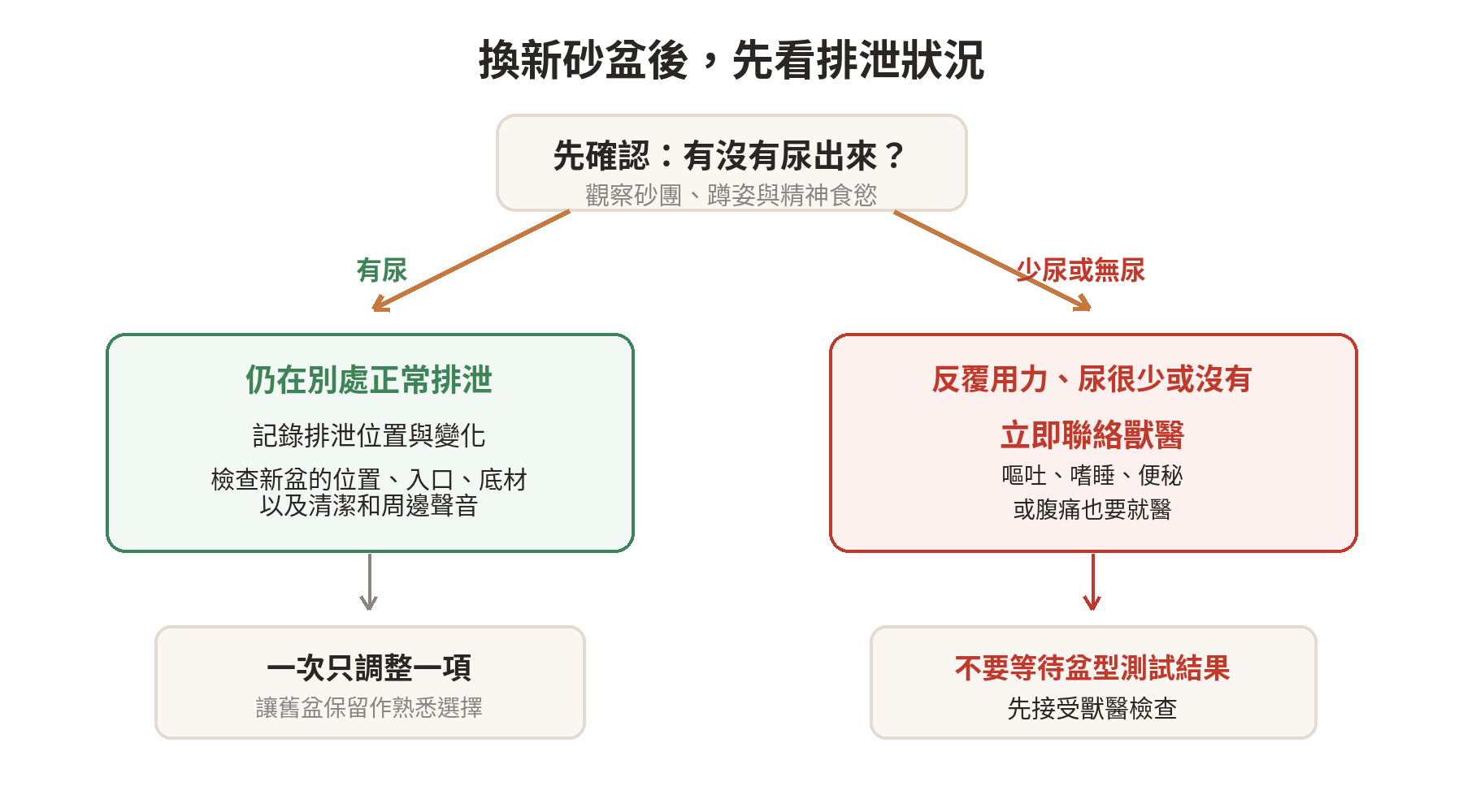 換新砂盆後貓咪不上廁所:抗拒還是身體不適? 貓換新砂盆後拒用時,先看是否有尿與不適警訊,再檢查砂盆變動