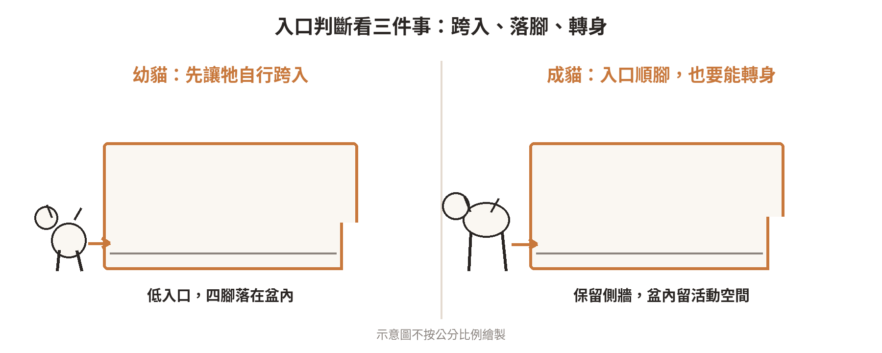幼貓低入口與成貓保留側邊盆壁的砂盆剖面示意，標出跨入位置與盆內活動空間