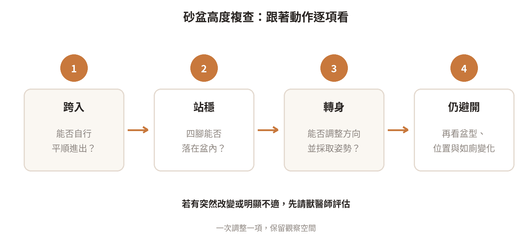 砂盆高度複查流程：觀察跨入、轉身與排泄姿勢，再調整入口或盆內尺寸