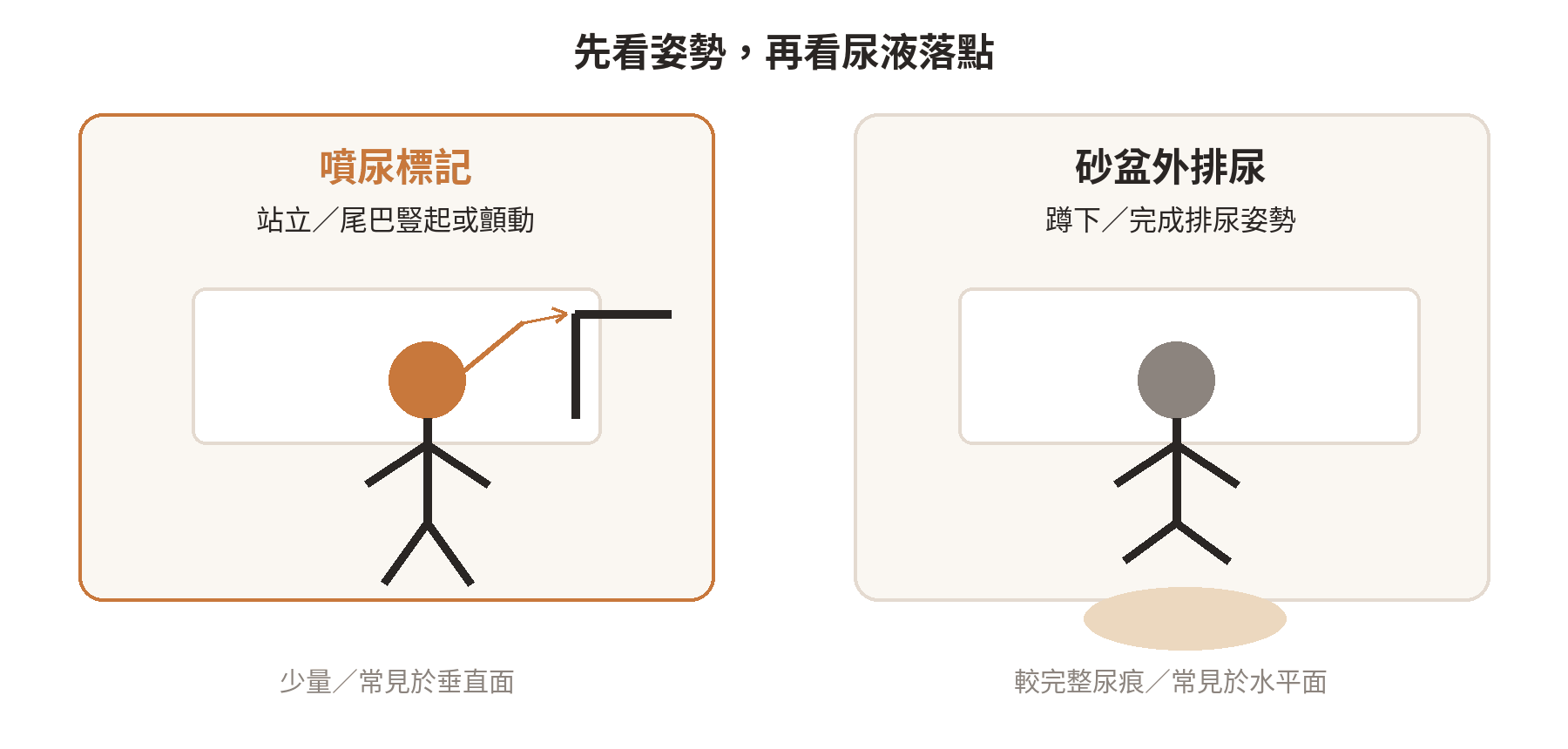 以貓咪站立噴尿與蹲下排尿的姿勢、落點和尿量區分兩種行為