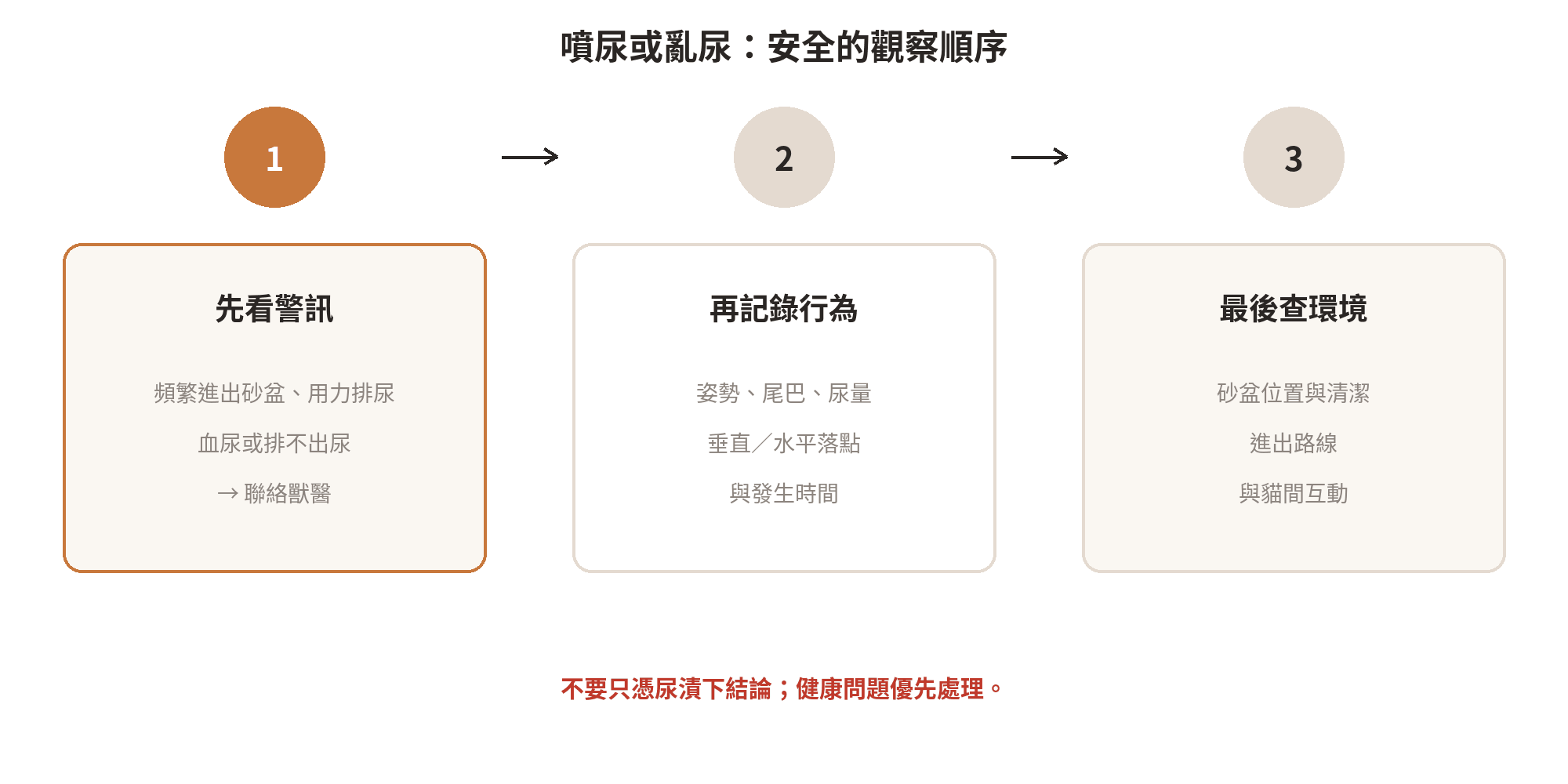 貓咪噴尿或砂盆外排尿的觀察順序：先排除身體警訊，再記錄姿勢與落點，最後檢查砂盆和環境