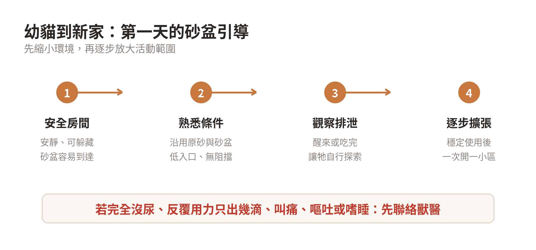幼貓到新家第一天的砂盆引導流程：安全房間、熟悉砂盆、觀察排泄、逐步放大活動範圍