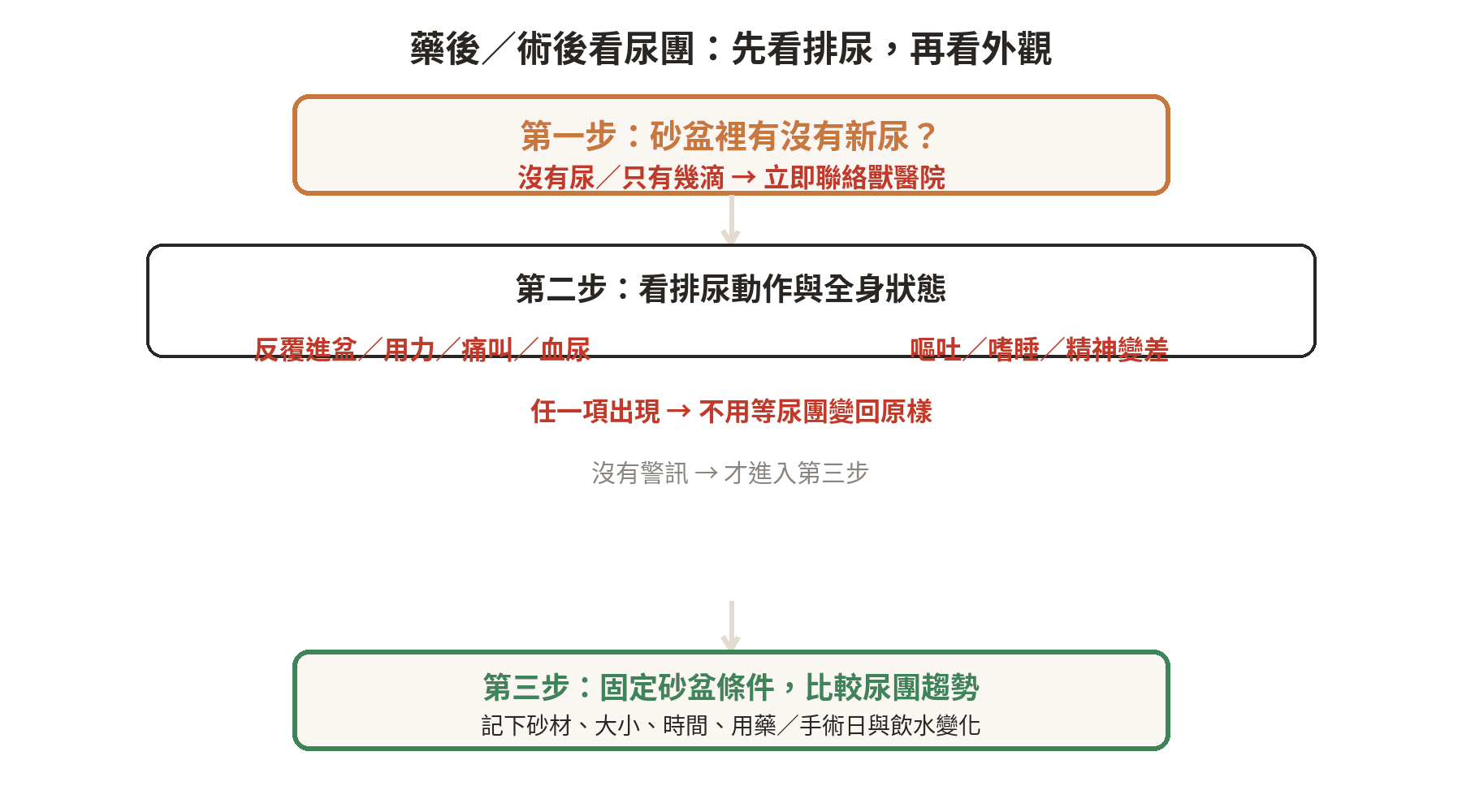 吃藥或手術後觀察尿團的判斷順序：先確認有沒有尿，再看排尿動作與全身狀態，最後才比較尿團大小