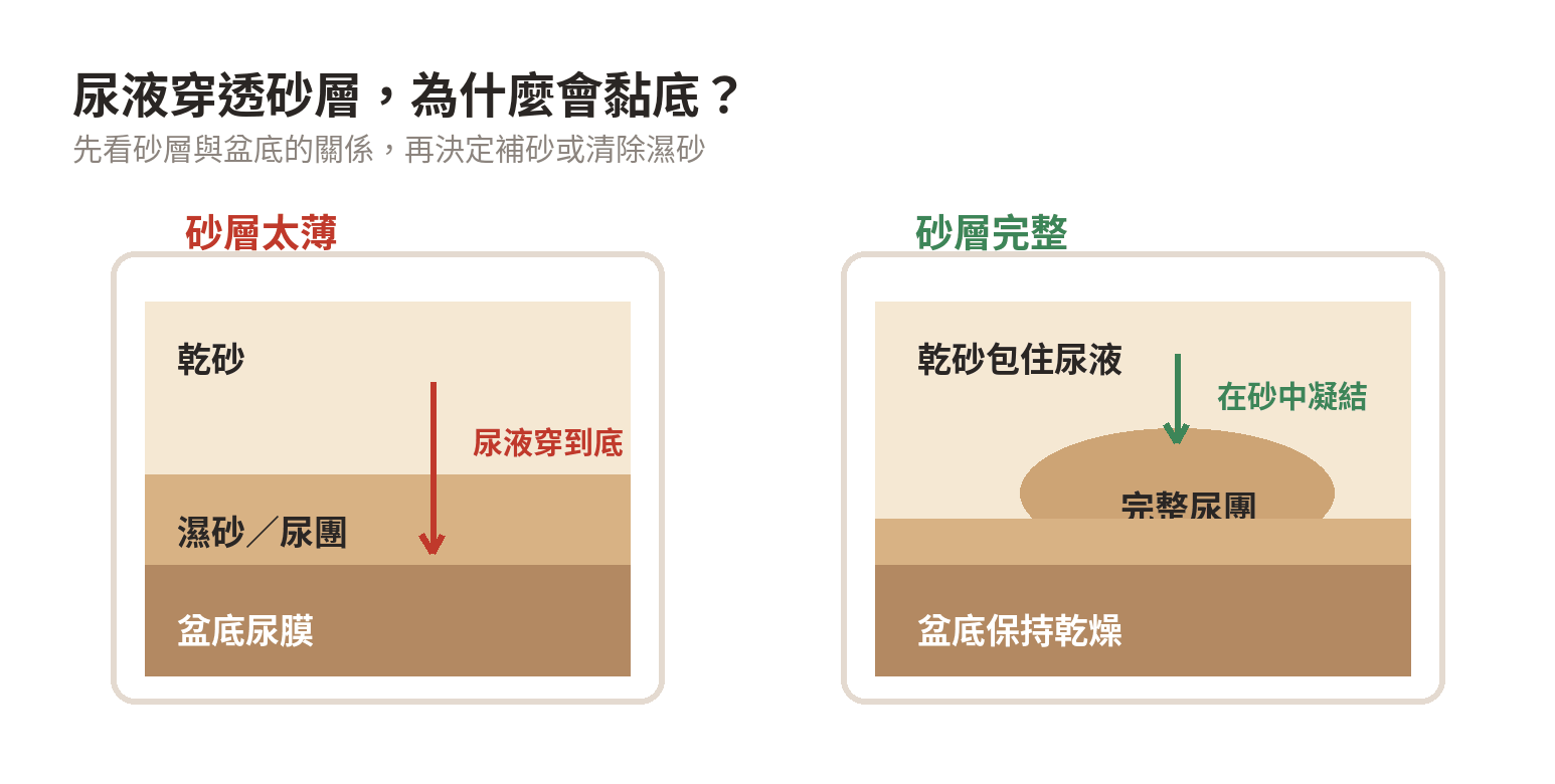 貓砂層太薄時尿液穿透並讓尿團黏住盆底的剖面示意