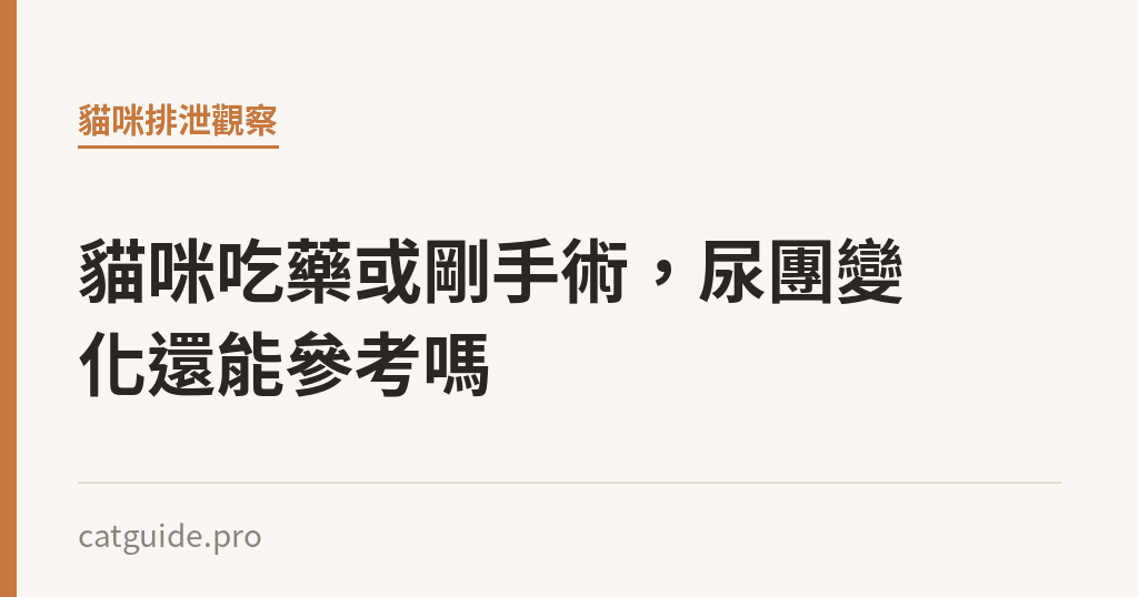 貓咪吃藥或剛手術，尿團變化還能參考嗎｜貓咪小百科