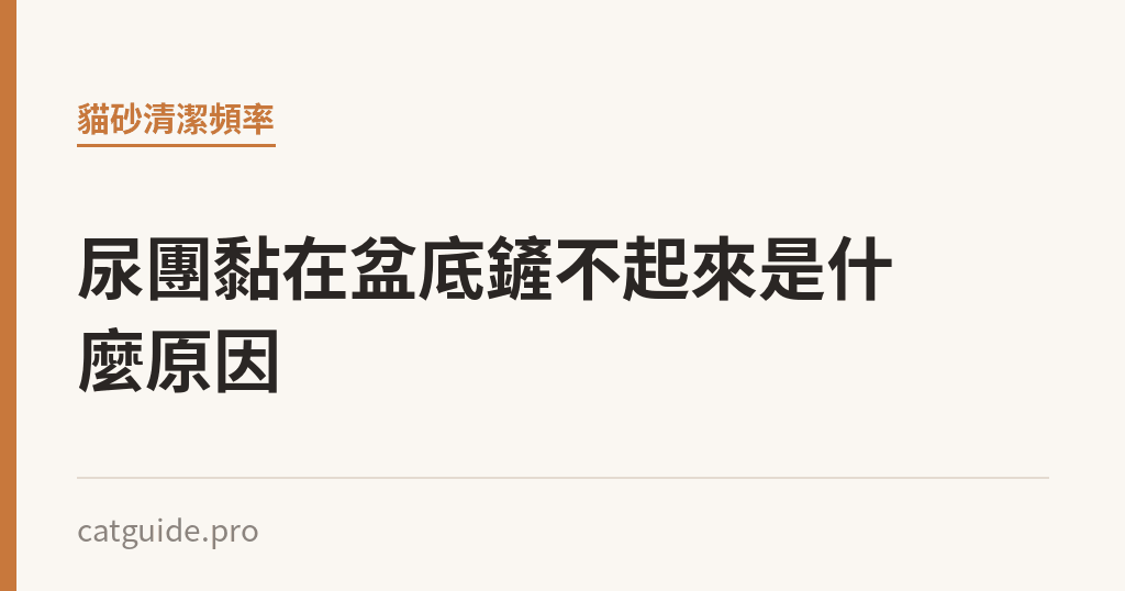 尿團黏在盆底鏟不起來是什麼原因｜貓咪小百科