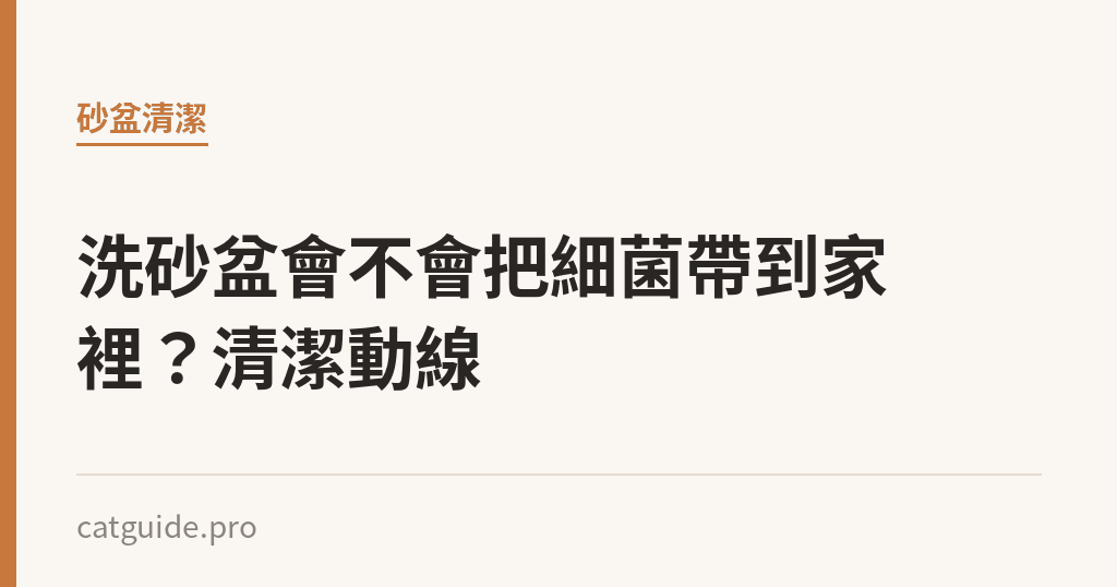 洗砂盆會不會把細菌帶到家裡？清潔動線｜貓咪小百科